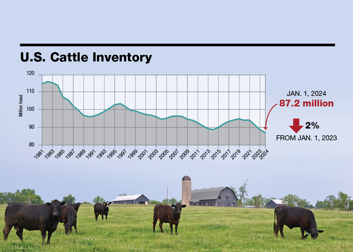 U.S. Cattle Inventory Reaches 73 Year Low Drovers